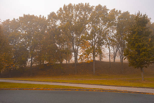 A tranquil autumn scene of a road lined with trees with colorful fall foliage. The mist adds an eerie atmospheric effect to the road with cars.