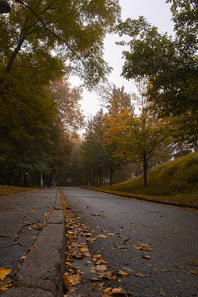 istock Curved road with golden trees 2224065057