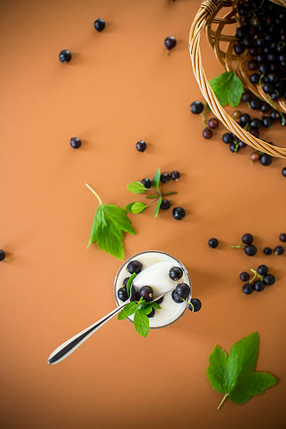 Homemade yogurt with blackcurrant berries, isolated on brown background.