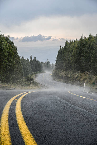 istock Misty winding road through Andean forest 2224067545