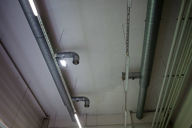 istock Industrial ceiling with ventilation ducts and fluorescent lights inside brewery 2224070209