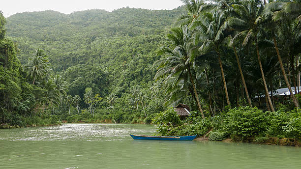 istock Tropical River with Palm Trees in Malaysia 2224074778