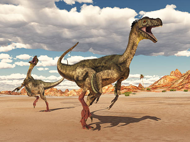 istock Dinosaur Ornitholestes in a desert landscape 2224076865