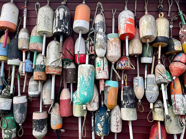 istock Old buoys just hanging out 2224077198