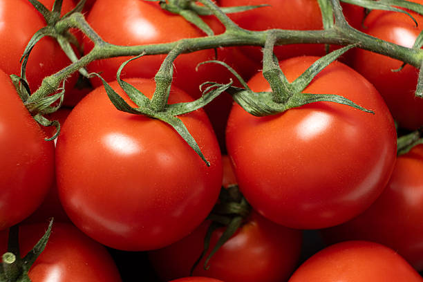 istock Fresh Cocktail Tomatoes on Green Stem 2224083027