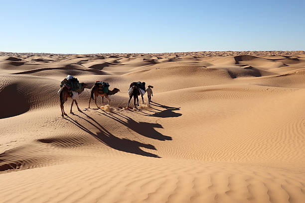 istock Caravan Crossing the Sahara Desert Under the Blazing Sun 2224083791