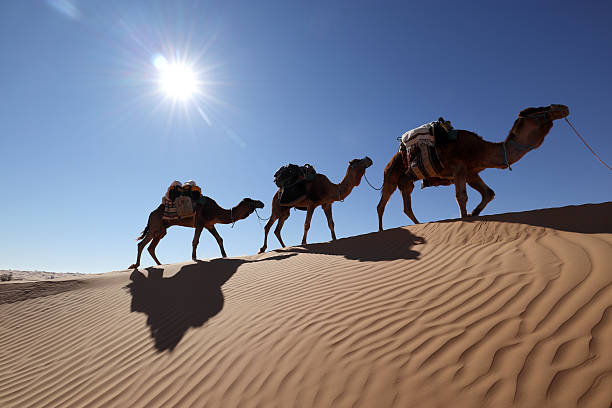 istock Caravan Crossing the Sahara Desert Under the Blazing Sun 2224083822