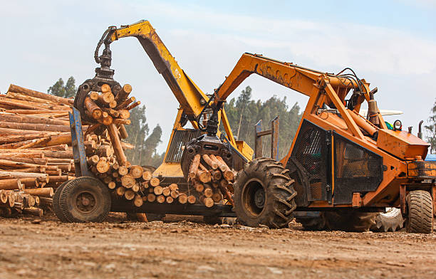 istock A pair of mechanical log grabbers at work 2224096532