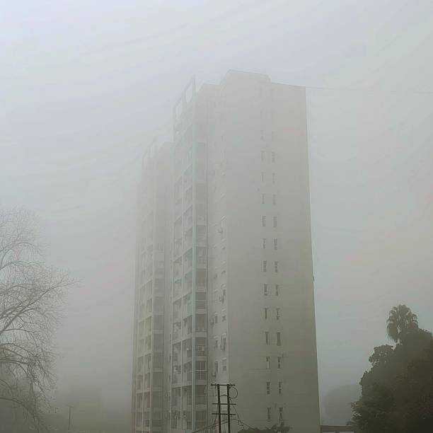 istock In the fog 2224096813