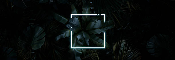 istock 3D Rendering of neon illuminated square frame covered by tropical leaves.. Flat lay of minimal nature style concept 2224097764
