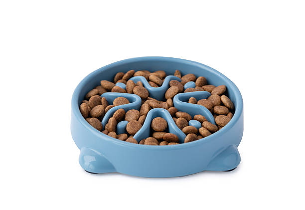 istock Cat and dog blue slow Feeding Bowl isolated on white background 2224099291