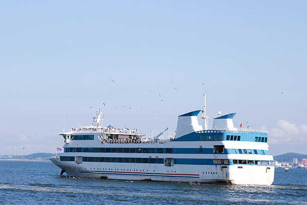 A stunning passenger ferry glides through the tranquil blue waters, offering passengers a delightful ride while seagulls soar overhead against a picturesque backdrop.
