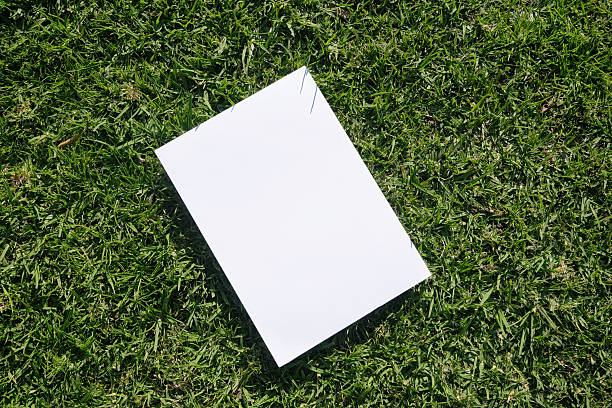istock Mockup blank poster on green grass background 2224100370