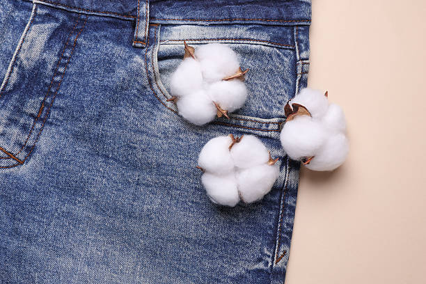 istock Blue jeans with cotton flowers on light background 2224103085