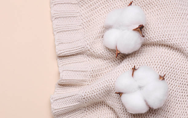 istock Sweater with cotton flowers on a beige background 2224103144