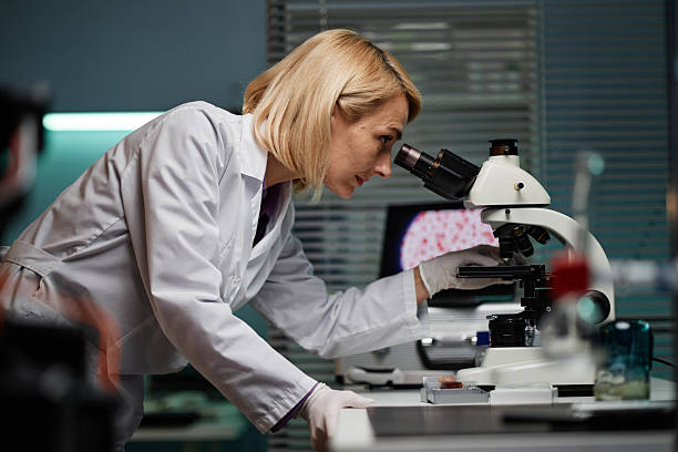 istock Middle Aged Woman Using Microscope Conducting Scientific Research 2224105345