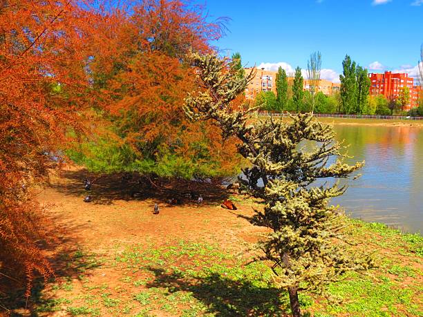 istock Public park  in Madrid  city, Spain. 2224109419
