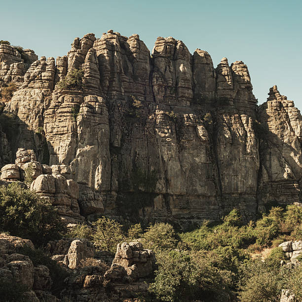 istock Limestone rock formations like pillars between green vegetation under a blue sky. National park El Torcal de Antequera. Andalucia. Spain. 2224111323