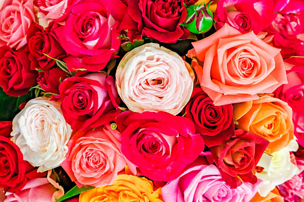 istock bouquet of roses, close-up, top view 2224113455