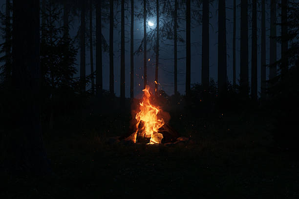 istock Bonfire with sparks and particles surrounded by forest trees. 3D Rendering 2224114462