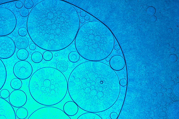 Blue macro science bubbles,Close-Up on Blue Bubbles in a Liquid, Abstract Background,Laboratory Petri dishes with liquid and pipette. Abstract scientific research concept.