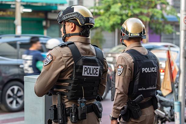 Female customs officer or police officer in uniform stands at the counter, midsection