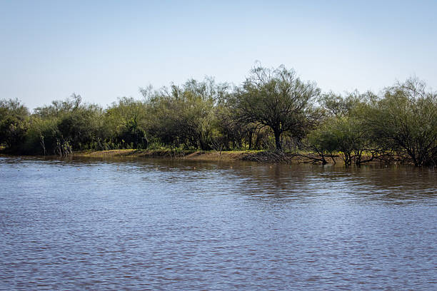 Bank of the Santafesino River with native forest.