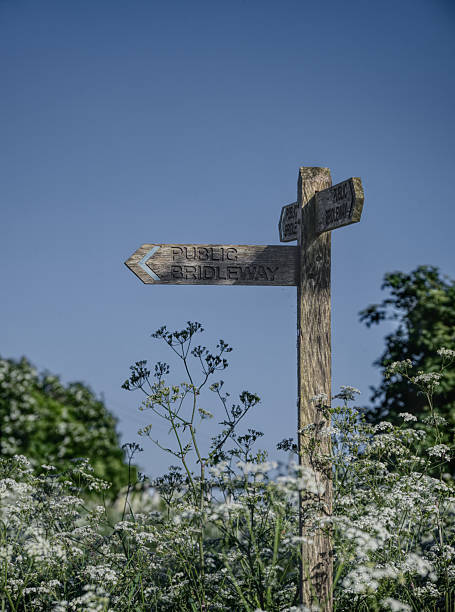istock public bridleway on a summers day 2224131287
