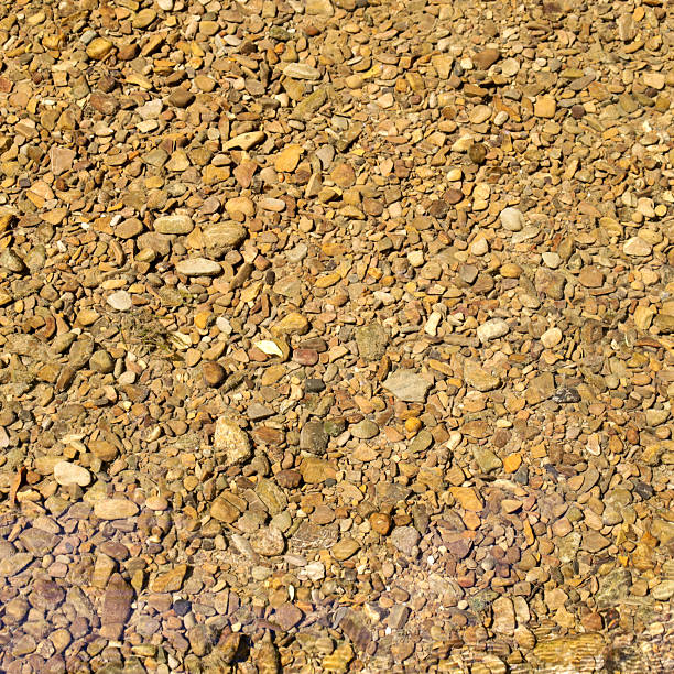 The riverbed, covered with various pebbles, creates a unique natural pattern. Through the clear water, every detail is visible, emphasizing the harmony and tranquility of this aquatic environment.