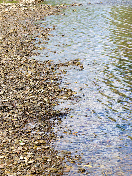 A riverside landscape featuring clear river water and a bottom covered with small pebbles. This image conveys the tranquility of nature and is ideal for themes of waterside relaxation or ecology.