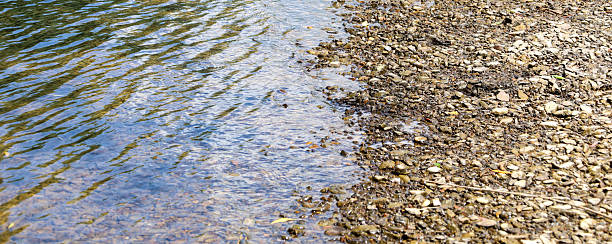 Transparent river water glides over a bottom lined with small pebbles, creating a tranquil surface. This natural background is perfect for summer concepts conveying serenity and environmental purity.