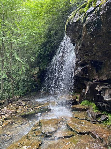 istock Waterfall part of Lehigh River 2224132772