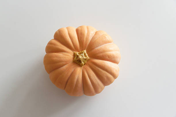 colorful ripe pumpkins