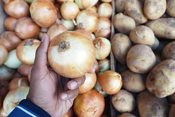Hand inspecting a large onion among various fresh produce at a market.