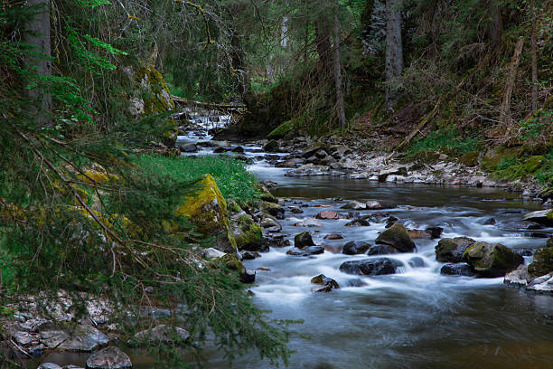 istock a smooth water stream of a river in a gorge with trees 2224140739
