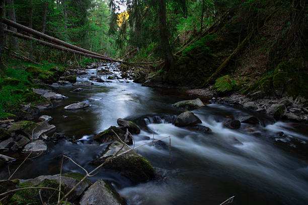a smooth water stream of a river in a gorge with trees