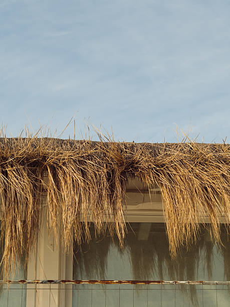 Vertical minimal image featuring the edge of a lush straw beach hut roof, set against a clear blue sky. Captured in Golfo Aranci, Sardinia, the composition emphasizes simple lines and natural textures, evoking a calm Mediterranean atmosphere. The ample blue sky provides clean copy space, making the image suitable for summer, travel, or resort-themed content.