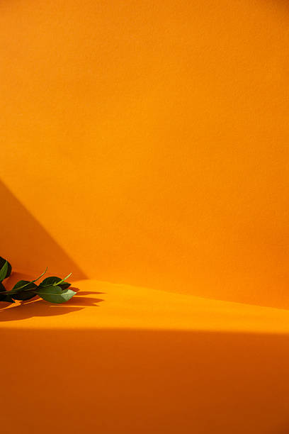 Minimalist orange background featuring green leaves and dramatic shadows, perfect for showcasing products or designs