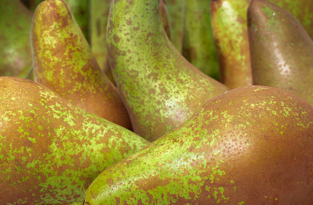 Conference Pears