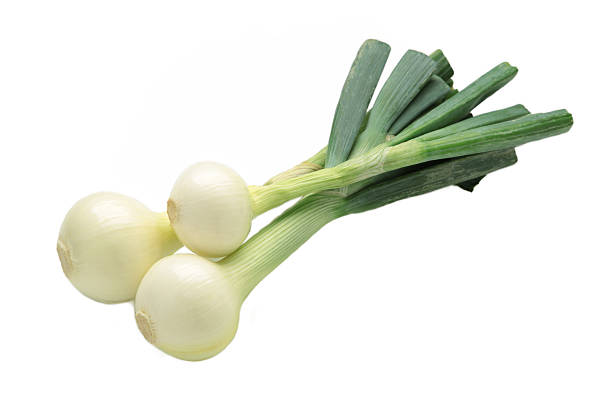 Green onion isolated on white background. Top view