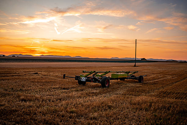 A single green and yellow agricultural trailer stands on a harvested field under a vibrant orange sunset sky. The warm colors of the sky and dry stubble on the ground highlight the end of the harvest day in a rural farming landscape.