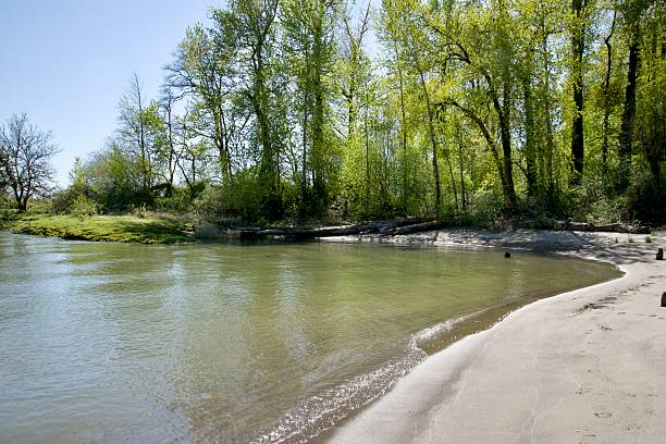 istock Quiet beach cove surrounded by oak woodland 2224147640