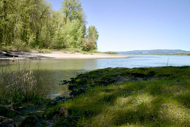 istock Quiet beach cove surrounded by oak woodland 2224147648