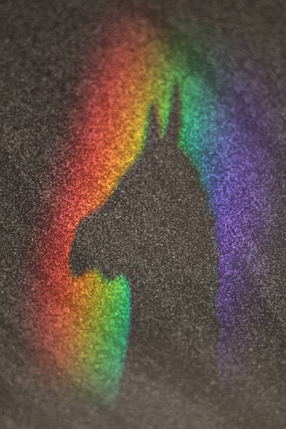Horse's silhouette is cast in a rainbow. The horse is a horse of a rainbow color