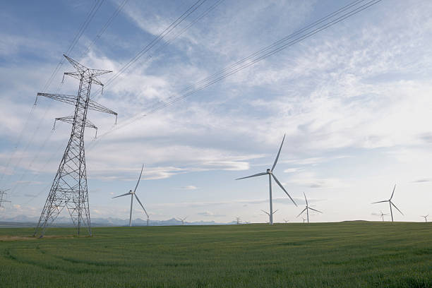 istock Rows of wind turbines and grasslands at sunrise 2224152910