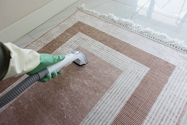 istock Detailed carpet cleaning process in a bright room during daylight 2224154342