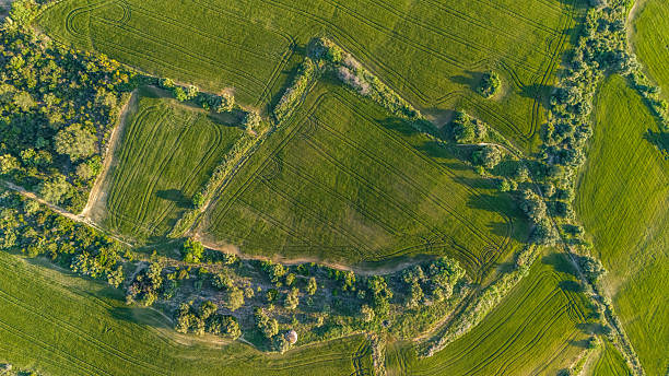 istock Aerial views of wheat field 2224155965