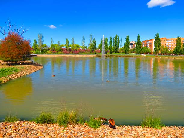 istock Public park  in Madrid  city, Spain. 2224156326