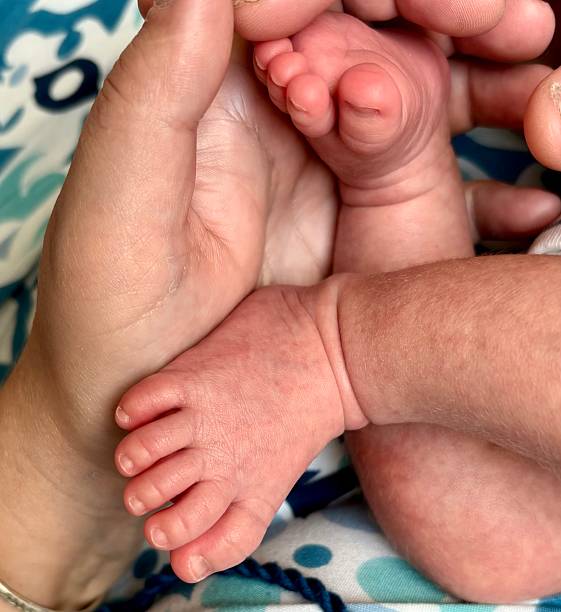 istock Tiny Treasures: Newborn Feet in Loving Hands 2224162161