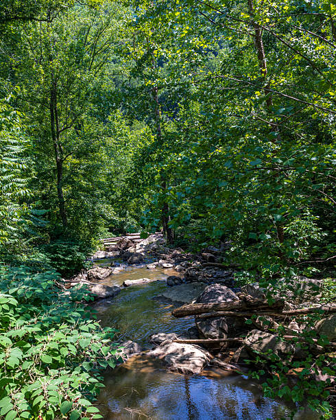 istock New River Gorge National Park 2224168319